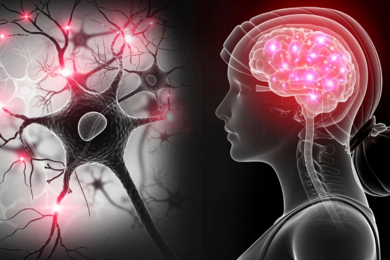 Read more about the article UKŁAD NERWOWY